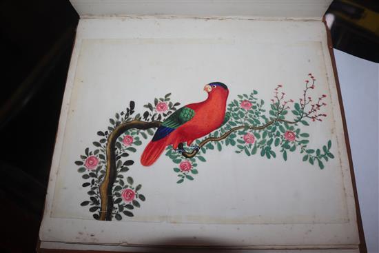 A 19th century Chinese album of 14 paintings on pith paper, birds and figures